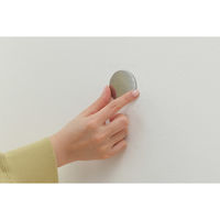 アイリスオーヤマ 軽くて割れないフィルムミラー マグネットタイプ 幅280×奥行27×高さ900mm 1枚（直送品）