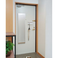 アイリスオーヤマ 軽くて割れないフィルムミラー マグネットタイプ 幅280×奥行27×高さ1150mm 1枚（直送品）