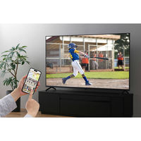 アイリスオーヤマ 4Kスマート液晶テレビ 65V型 LT-65UGX-F1 1台（直送品）