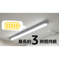 日本防災スキーム 防災用直管型LED ライトセーバーtsuita G13NW2100LM 1個（直送品）