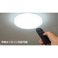 日本防災スキーム 防災用シーリングライト 天照(アマテラス)tsuita TC102 1個（直送品）