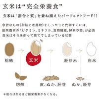 寝かせ玄米ごはん　黒米ブレンド160g 1個 結わえる パックご飯