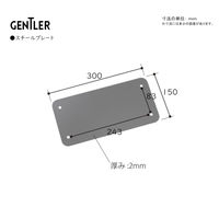 【軒先渡し】コイズミファニテック GENTLER スチールプレート 幅300×奥行150×厚さ1.5mm ブラック 1枚（直送品）