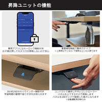 【軒先渡し】コイズミファニテック GENTLER 昇降デスク ホワイトウォッシュ×ブラック 1台（直送品）