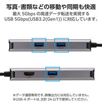 ドッキングステーション タイプC ハブ 5in1 HDMI LAN USB-A×3 DST-052BPSV エレコム 1個（直送品）