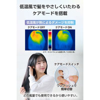 ドライヤー 速乾 大風量 プロテクトイオン 静電気抑制 低温ケアモード搭載 ブルーグレー TD561A-H テスコム 1個（直送品）