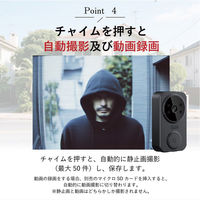 ダイアモンドヘッド カメラ付きコードレステレビドアホン OT-DP43S 1セット(受送信セット)（直送品）