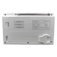 WINTECH(ウィンテック/廣華物産) AMFM塔載手回しワンセグテレビ TVR-L351R 1台（直送品）