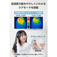 ドライヤー 速乾 大風量 マイナスイオン 静電気低減 低温ケアモード搭載 ブルーグレー TD461A-H テスコム 1個（直送品）