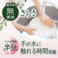 さらさ 食器用洗剤 ほのかでやさしい柑橘の香り 詰め替え 特大 620mL 1個 P＆G JOY(ジョイ)共同開発