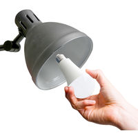 ムサシ LEDマルチ電球60形 昼白色 R-LED60N 1個（直送品）