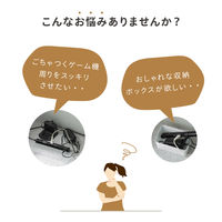 武田コーポレーション ゲーム収納ボックス コンセント付き LN-H6-TS50BK 1箱(4個入)（直送品）