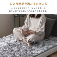 武田コーポレーション ラビットファー調エレガント敷パッドBEシングル TMW-RF1020BE 1箱(8個入)（直送品）