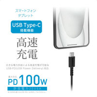 カシムラ USB充電&同期ケーブル 2m C-C 100W AJ-675 1個（直送品）