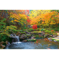 ユナイテッドスペース EXETIME PLATINUM★10(2年期限) 25204001 1個（直送品）