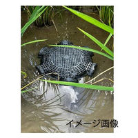 エーワン タニシカゴ 6口(8個セット) MT6x8 1セット(8個入)（直送品）