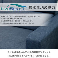 タマリビング アイビィ ソファ 3人掛 幅1850mm ブルー 1台（直送品）