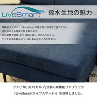 タマリビング アイビィ スツール 幅750mm アイボリー 1台（直送品）