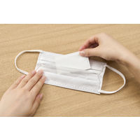 アイリスオーヤマ ナノエアー うるおい保水ぬれマスク プリーツタイプ ふつうサイズ20枚入 NWE-PK20 1箱(20枚入)