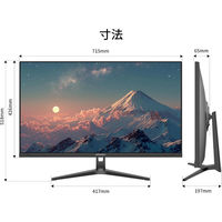 JAPANNEXT 31.5インチ ワイド 4K液晶ディスプレイ JN-IPS315U 1台（直送品）
