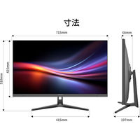 JAPANNEXT 31.5インチ ワイド 4K液晶ディスプレイ JN-IPSB315U-C6 1台（直送品）