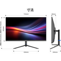 JAPANNEXT 31.5インチ ワイド 4K液晶ディスプレイ JN-IPSB315U-HSPC6 1台（直送品）