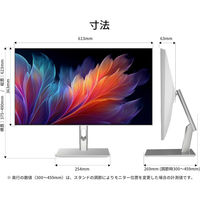 JAPANNEXT 27インチ ワイド 4K液晶ディスプレイ JN-IPST27U-FLDC6 1台（直送品）