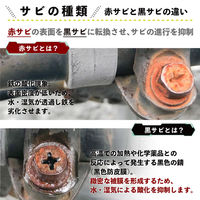 カンペハピオ サビ転換剤 50ML #00517660202050 1個（直送品）