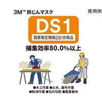 スリーエム ジャパン 防じんマスク 脱臭機能付き 9913ーDS1 10枚入 9913-HI-10 1個(10枚) 60-2394-79（直送品）