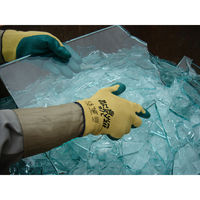 ショーワグローブ GPーKV2R Mサイズ GP-KV2R-M 1セット(1組×10)（直送品）