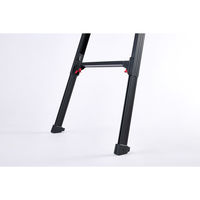 長谷川工業 はしご兼用伸縮脚立 RYZB-21a 1式（直送品）