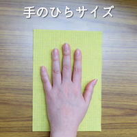 金鳥 サッサ ホコリ取りクロス ドライシート ハーフサイズ 1セット（1パック（30枚入）×5）家具 家電 網戸 フローリング 大日本除虫菊 限定