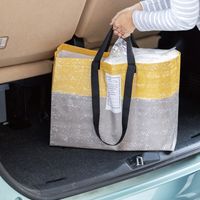 ヘッズ マイチョイスバッグPPクロス/デリシャス-4 20枚(10枚×2) EBR-4B（直送品）