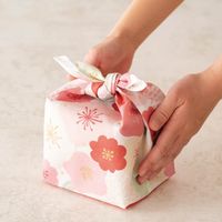 ヘッズ 和風花柄あづまバッグセット/ピンク 10セット(10セット×1) WBN-AZB 1セット(10セット入)（直送品）