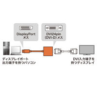 サンワサプライ DisplayPort-DVI変換アダプタ AD-DPDV04 1個