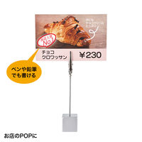 サンワサプライ カラーレーザー用 耐水紙・特厚 A3サイズ LBP-WPF22MDPN-A3 1冊