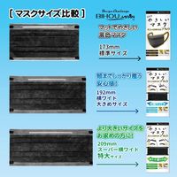 エスパック 標準 やさしいマスク 5枚入 ブラック 5袋セット AB05-AS 1セット(5袋)（直送品）