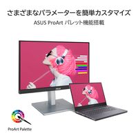 ASUS <ProArtシリーズ>PA247CV(23.8型 sRGB100% IPSパネル搭載液晶モニター) PA247CV 1個