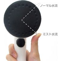 SANEI ミストストップシャワーヘッド(SENGAN) PS3062-80XAA-D 1個