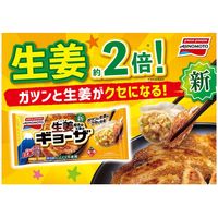 「業務用」 味の素冷凍食品 [冷凍]味の素冷凍食品 しょうがギョーザ 276g×20個　1箱（276g×20袋）（直送品）