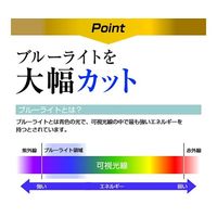 保護フィルム Onyx BOOX Nova Pro 9H ブルーライトカット n9bc-lstb07-mc001196 1枚（直送品）