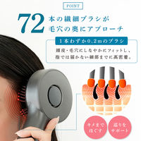大河商事 beap025 LEDスカルプブラシ 開閉式 美容液対応 beap025-gm 1個（直送品）