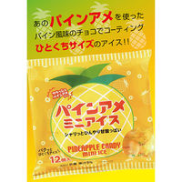 アイガー [アイス] パインアメミニアイス 120ml×12個 4934397309193 1セット(10ml×12個)（直送品）