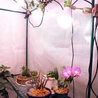 富士倉 植物育成ランプ KY-08W-SC 039992 1個