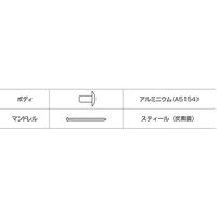 ロブテックス エビ ブラインドリベット(丸頭) エコパック入り NSA43MP 1箱(80本入)