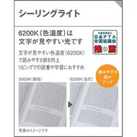 パナソニック LEDシーリングライト LGBZ0262（直送品）