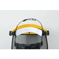 グリーンテック ひたいの汗とりパッド 1セット（50枚入り） 抗菌・消臭 汗シミ防止フィルム メントール配合