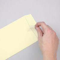 透けない封筒テープ付　長3 シークレット99 〒枠ありクリーム　100枚 ムトウユニパック