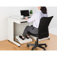 天馬 フィッツワーク 靴がしまえるフットレスト 1個