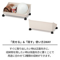 天馬 フィッツワーク リュックが置けるカート 1個